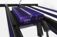 Lumatek LED Zeus 600W